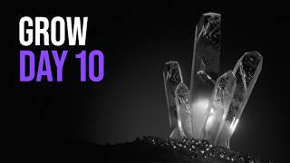 Creating Quartz in Houdini procedural session | Mardini 2026