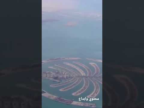 النخلة جميرا قناة محتوي وابداع