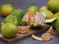 25# Deux agrumes résistants à -10/-12°C : le Yuzu et le Satsuma !