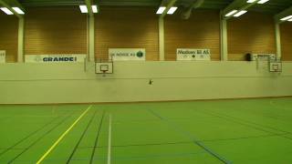 T-Rex250 Mære22_3_09