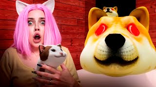 видео: АЛИНКА СПАСЕТ КОТЯТ \ ПЁС КЕК СКАМИТ В ROBLOX картинка: АЛИНКА СПАСЕТ КОТЯТ \ ПЁС КЕК СКАМИТ В ROBLOX