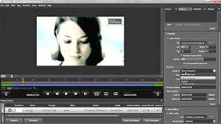Microsoft Expression Encoder 2: 02 Richer Media Enhancement