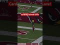 Cardinals Jeremiah love receiving touchdown