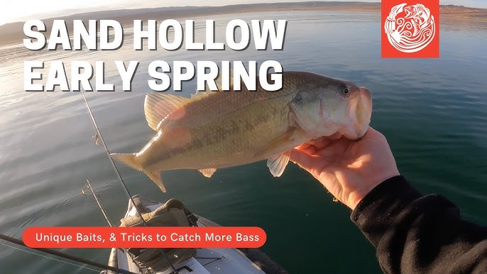 Sand Hollow Reservoir Fishing: How to Catch Bass 