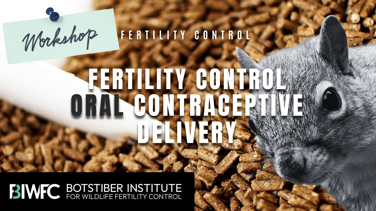 Fertility Control: Delivery of Oral Contraceptives
