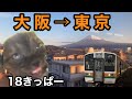 18きっぷで大阪~東京を移動する鉄オタ【猫ミーム】