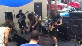 Locusta - 2012