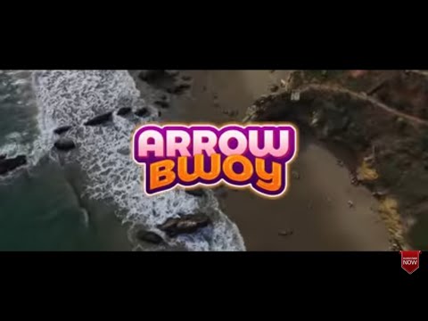 Arrow Bwoy - Dodo (Official Lyric Video)