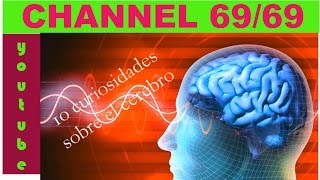 10 curiosidades sobre el cerebro