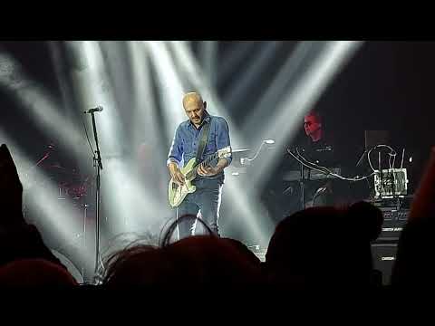 Pavol Habera & Team - Držím ti miesto (Live @ Forum Karlin, Prague 2024)