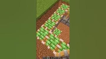 Automatic Enchantment Table at Different Times (World’s Smallest Violin)#shorts