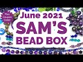 Sam's Bead Box Monthly Subscription June 2021