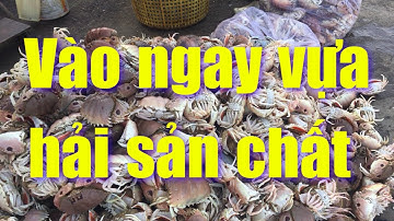 Cảng cá Phan Rí Tuy Phong Bình Thuận trò chuyện với chủ vựa | Phượt bụi 17