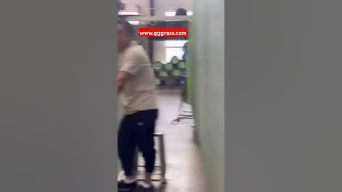 Discover how we craft premium artificial grass at our factory.#ArtificialGrass #GGGRASS #EcoFriendly