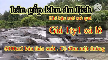 Bán khu du lịch view suối thác tại đăk nông 6000m2 hạ giá còn 1 tỷ chốt