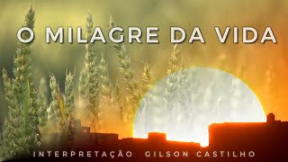 Video thumbnail of "O MILAGRE DA VIDA - GILSON CASTILHO"