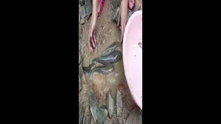 Snakes and fish | Catching fish with predatory snakes | Interesting way to catch fish