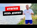 Красное 2021. Очень бюджетный отдых! Мелкое море. Обзор курорта Красное, Херсонская область