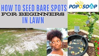 POPOSOAP||How To Seed Bare Spots In Lawn For Beginners🌷||Solar Pump Fountain⛲️