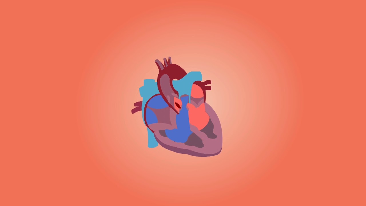 #Раунатин хақида | #Raunatin xaqida maʼlumot | #Gipertenziya | #Гипертензия