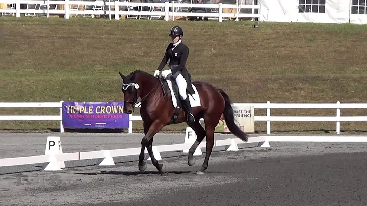 Chelsea Kolman & Dauntless Courage Fair Hill CCI &...