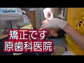 【矯正です✨】予防歯科 調布市 原歯科医院