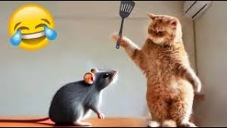 New Cute and Funny Animals 2024 🤣 Funniest Cats and Dogs Videos #50