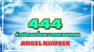 ความลับจากการเห็นเลข 444 บ่อยๆ ที่อาจไม่ใช่เรื่องบังเอิญ Angel Number 444