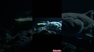 photos  taken underwater👹 #shorts #deepsea #ocean #scary #underwater