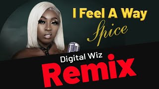 Spice feel a way   Lyrics Video Bitches want remix