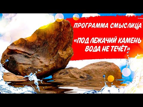 СМЫСЛИЦА | «Под лежачий камень вода не течёт»