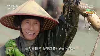 《田园帮帮团》 20250308 高手来了·种菜也有烦心事儿 | 农业致富经 Agriculture And Farming
