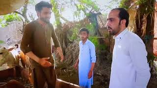 Eid maal mandi | zindabad Vines new | maal mandi | pashto funny video 2020