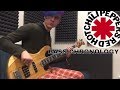 Red Hot Chili Peppers: Bass Chronology (All Albums)