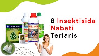 8 Jenis Insektisida Ramah Lingkungan, Sebagai Pengganti Pestisida Kimia