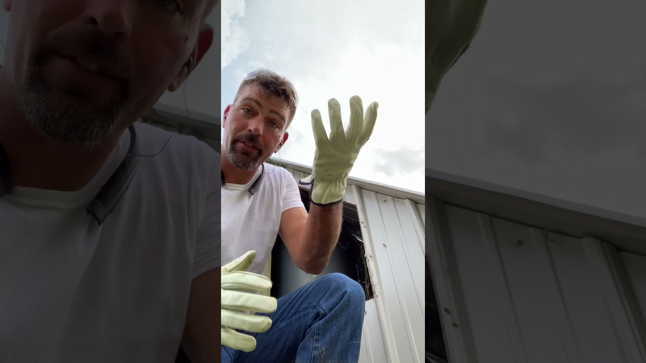 How To Kill A Wasp Nest