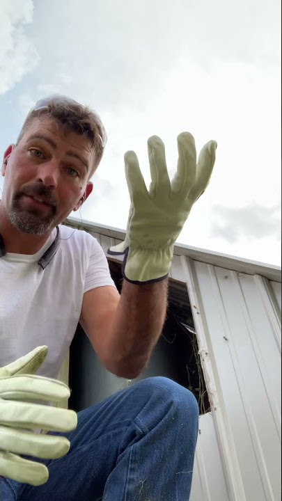 How to kill a wasp nest
