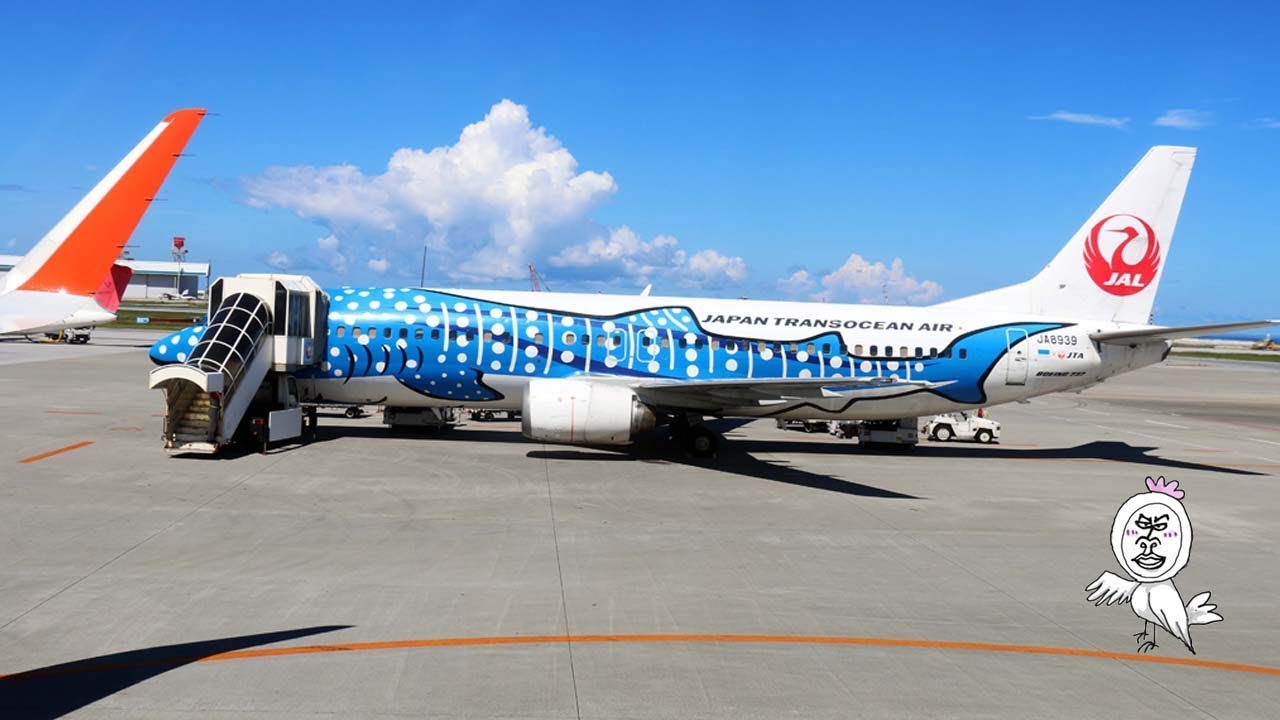 JAL ジンベイザメの飛行機【 Travel Japan うろうろ沖縄 】 美ら海