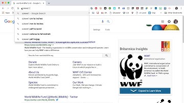 Google Chrome - Introducing the Omnibox