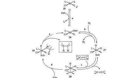 W2L3 catalytic cycles 1