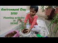 Planting activity at home | World Environment Day 2020