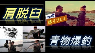 青物HITが止まらない！【Palms縛り】