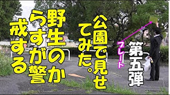 カラスバスター株式会社 Youtube