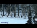 Волчья стая - Александр Малинин Волчья стая - Александр Малинин