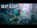 Deep Sleep: Gentle Music with Rain, Birds, and White Noise for Relaxation &amp; Sleep