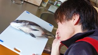 カネコが腹パンパンの鯛にフォークを刺した結果 【閲覧注意】