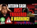 Bitcoin Cash Just Triggered A Warning Nobody Wants To See. BCH Coin Price Prediction