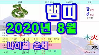 8월 뱀띠 운세 - 2020년 8월 경자년 갑신월 뱀띠 일진 사주 운세보기