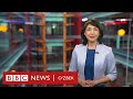 BBC Dunyo TV: Немис аскарлари кўмилган туннел, ғазабхона ва уруш мактублари - Дунё, BBC News O'zbek