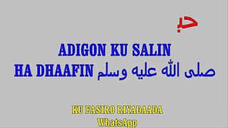 BISHAAAROOYINKA IYO FARXADAHA AY XAMBAARSAN TAHAY HADDAD KU RIYOOTO RIYADAN WAANA QEYBTII 2AAD EE